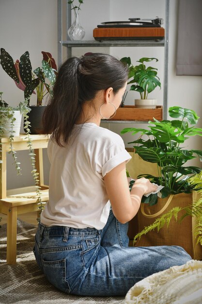 Frau chillt und kümmert sich um Monstera-Blätter Künstliche Pflanze Geigenblatt-Feigenbaum Indoor tropische natürliche Zimmerpflanze für die Inneneinrichtung und Luftreinigung