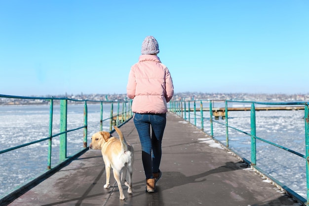 Frau, die am Wintertag einen süßen Hund im Freien spaziert Freundschaft zwischen Haustier und Besitzer