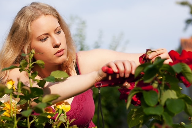 Frau, die an Rosen im Garten arbeitet