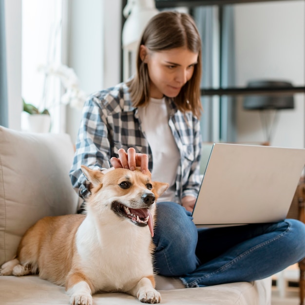 Frau, die auf Laptop auf Couch mit ihrem Hund arbeitet