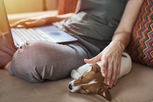 Frau, die auf Sofa mit ihrem Welpen Jack Russell Terrier sitzt