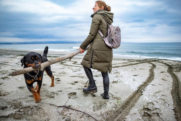 Frau, die bei kaltem Wetter am Strand mit Rottweiler-Hund spielt