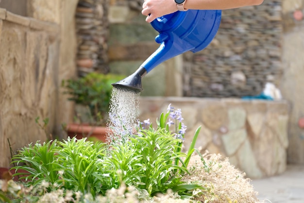 Frau, die Blumen im Garten im Freien gießt, Nahaufnahme