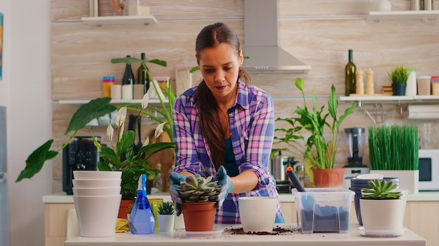 Frau, die Blumen in einem größeren Blumentopf umpflanzt, der in der Küche sitzt. Gärtner pflanzt Blumen in weißem Keramiktopf mit Schaufel, Handschuhen, fruchtbarem Boden und Blumen für die Hausdekoration.