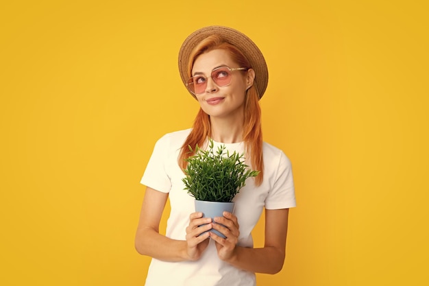 Frau, die Blumen in Topf pflanzt Mädchen hält Blumentopf Konzept des Anbaus von Pflanzen Sommergärtnerin