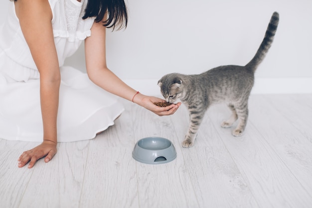 Frau, die der Katze Nahrung gibt