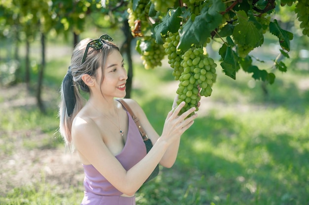 Frau, die draußen im Weinberg Trauben erntet.