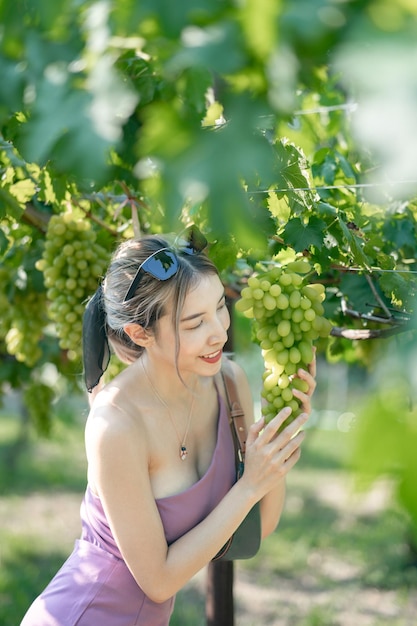 Frau, die draußen im Weinberg Trauben erntet.