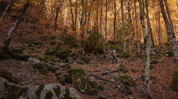 Frau, die durch den Wald im Herbst mit dem Boden bedeckt mit trockenen Blättern geht