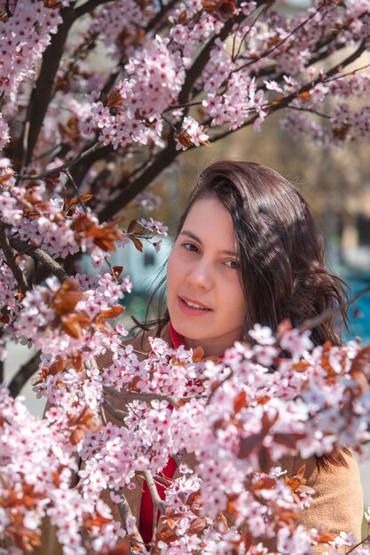 Frau, die ein Foto im blühenden Sakura-Baum macht, der Frühling kommt