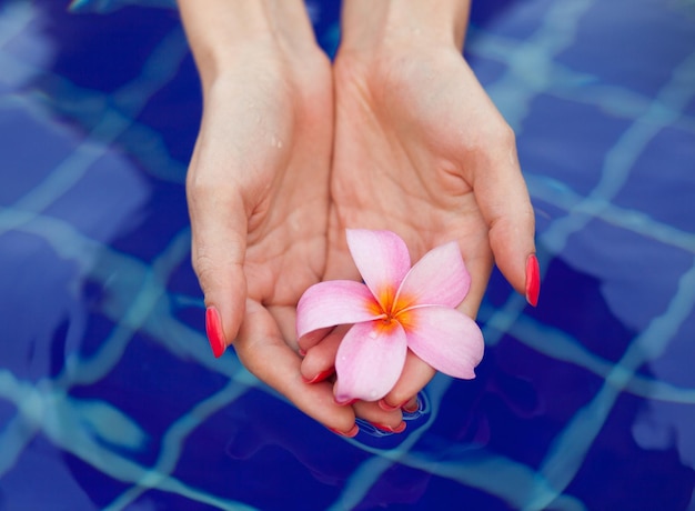 Frau, die eine Blume von Plumeria durch Hände über Wasser hält