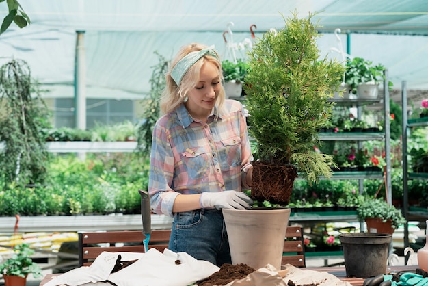 Frau, die einen Busch im Blumentopf mit Erde im Gartencenter pflanzt