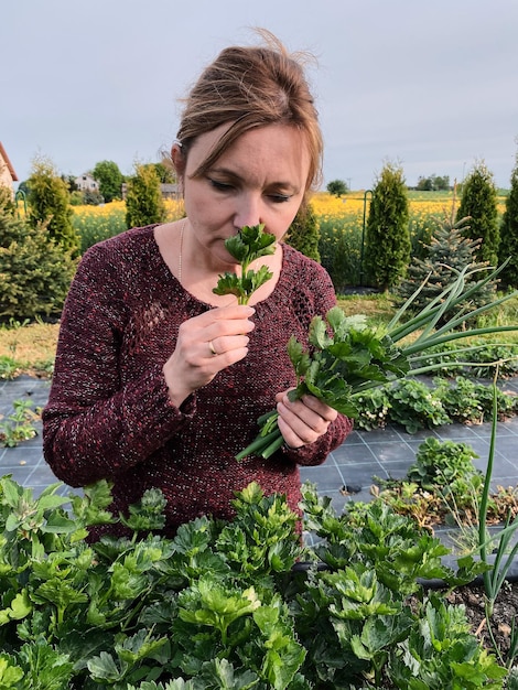 Frau, die Gemüse pflückt und in einem Hausgarten im Hinterhof arbeitet