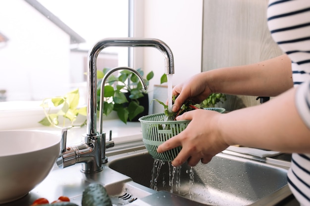 Frau, die grüne Salatblätter für Salat in der Küche in der Spüle unter fließendem Wasser wäscht.