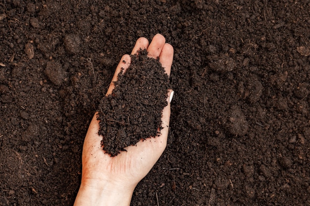 Frau, die Haufen Erde über dem Boden hält. Landwirtschafts-, Garten- oder Ökologiekonzept, Draufsicht