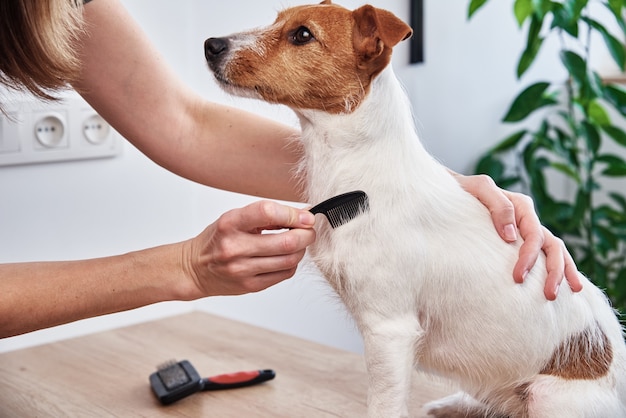 Frau, die Hund bürstet