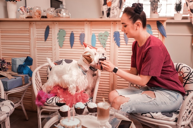 Frau, die Hunde füttert. Dunkelhaarige junge Frau in Jeans füttert ihre Hunde mit Cupcakes