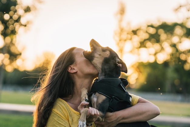 Frau, die ihren Hund auf Gras mit der Sonne hinten küsst. Schöne Frau, die ihren Hund im Park küsst und hält