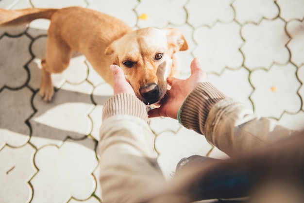 Frau, die ihren Hund streichelt