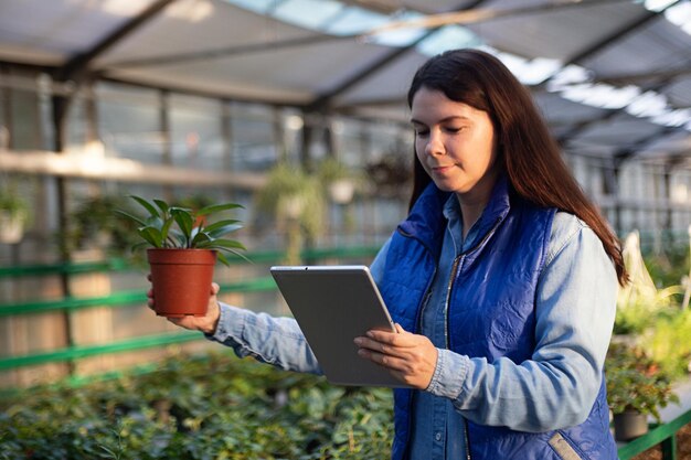 Frau, die im Gewächshaus arbeitet, Pflanzen mit Tablet überprüft und Topf mit Pflanze in der Hand hält