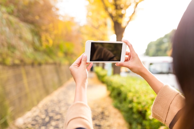 Frau, die im Herbst ein Foto mit dem Handy mit dem schönen Ginkgobaum macht