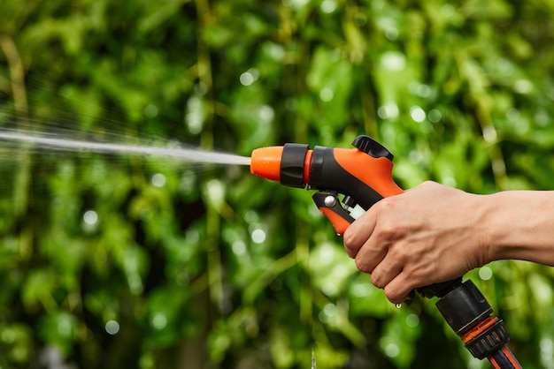 Frau, die im Sommer Pflanzen im Garten wässert