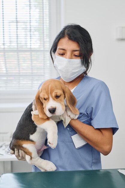 Frau, die in der Tierklinik arbeitet