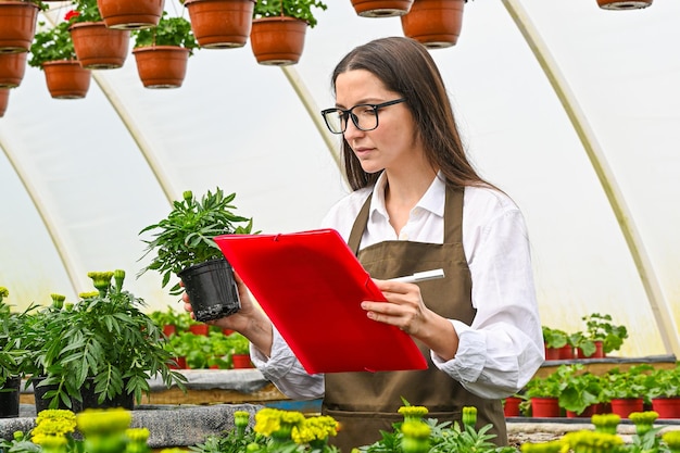 Frau, die in einem Gartencenter arbeitet und sich Notizen zu ihren Pflanzen macht Gärtnerin, die Blumen in einem Gewächshaus produziert