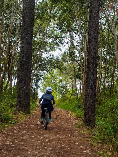 Frau, die in einen Kiefernwald radfährt