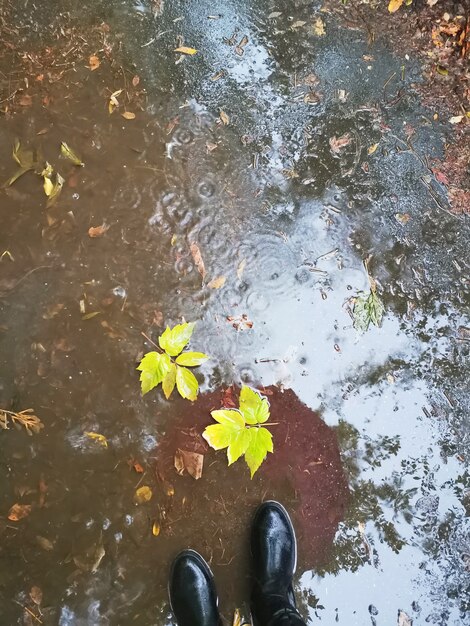 Frau, die in einer Pfütze mit gefallenen gelben Blättern steht und Stiefel trägt