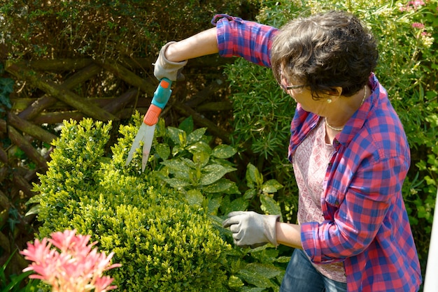 Frau, die in ihrem schönen Garten arbeitet.