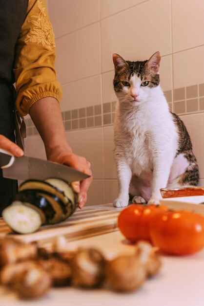 Frau, die mit ihrer süßen Katze köstliche Pizza zubereitet. Hausgemachtes Konzept.