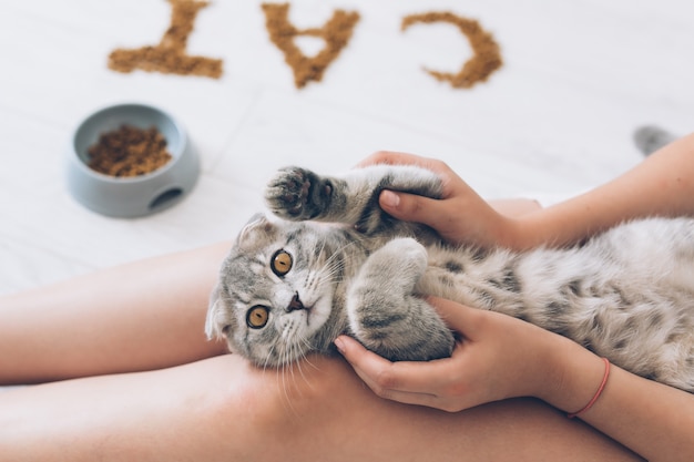 Frau, die mit Katze auf Händen spielt