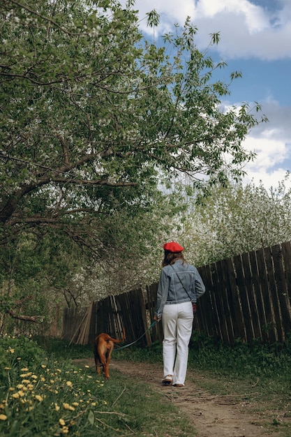 Frau, die mit Rhodesian Ridgeback Hund an der Leine entlang des Weges im Frühlingsgarten spazieren geht