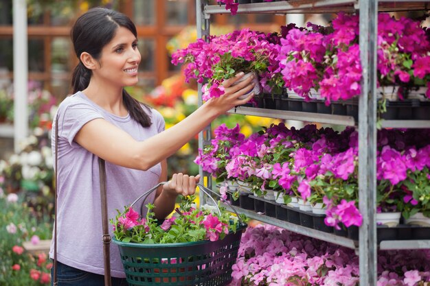 Frau, die purpurrote und rosa Anlagen betrachtet