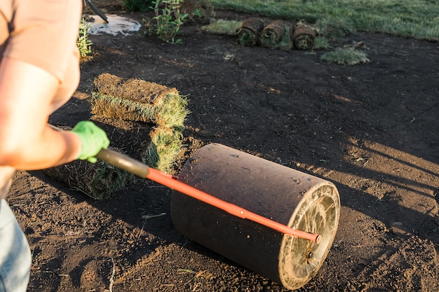 Frau, die Rasen für neues Gartenrasen-Verlegungskonzept legt