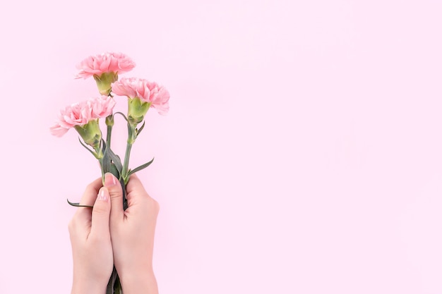 Frau, die rosa Nelke über rosa Tischhintergrund hält