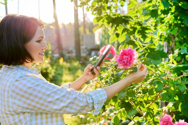 Frau, die sich im Frühlingsgarten ausruht und auf dem Smartphone blühenden Rosenstrauch fotografiert