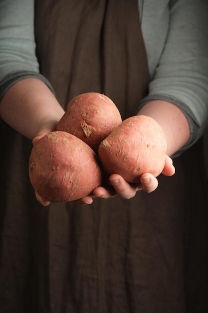 Frau, die Süßkartoffeln in der Hand hält Rustikaler Stil Vertikal