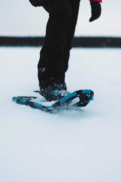 Frau, die Trekking in ihren Schneeschuhen genießt