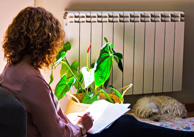 Frau, die zu Hause studiert und sich auf dem heimischen Sofa neben dem Fenster zurücklehnt.