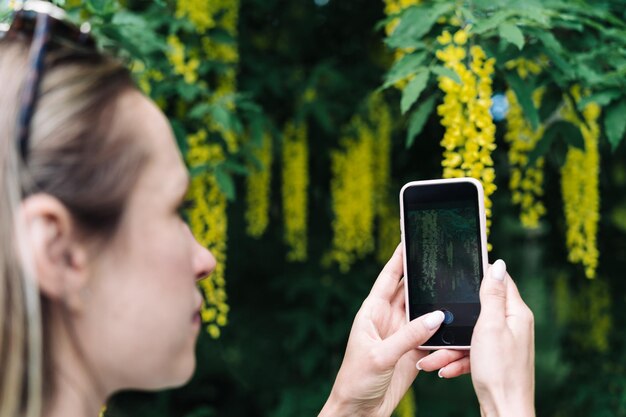 Foto frau fotografiert auf ihrem smartphone gelbe blüten von blühenden laburnum anagyroides oder goldenen regen