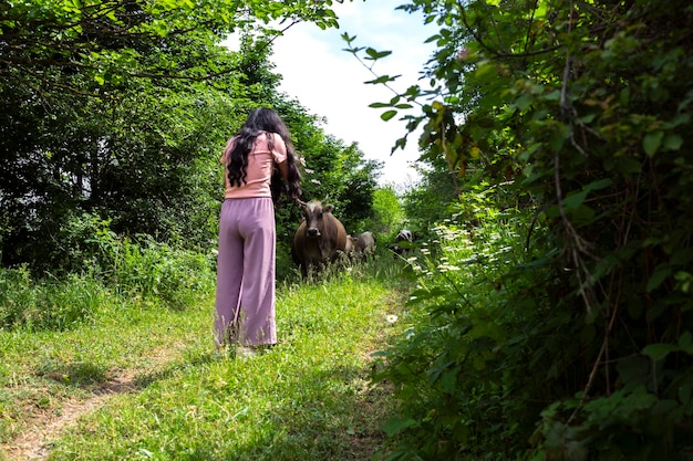 Frau fotografiert Kühe auf dem Feld