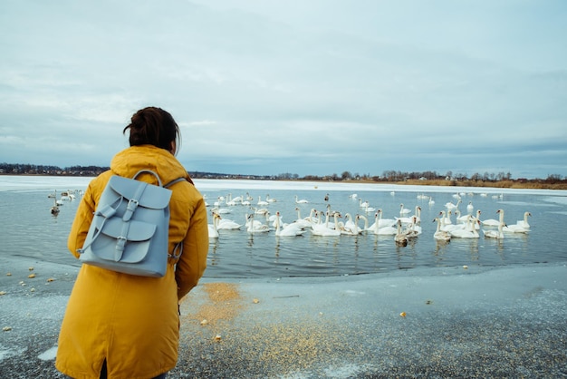 Frau füttert Schwäne auf zugefrorenem Wintersee