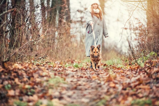 Frau geht mit einem Hund in den Wald.