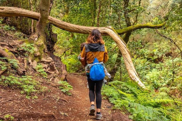 Frau geht mit ihrem Sohn auf dem Weg im moosigen Baumwald des Nationalparks Garajonay auf La Gomera, Kanarische Inseln, auf dem Ausflug nach Las Creces