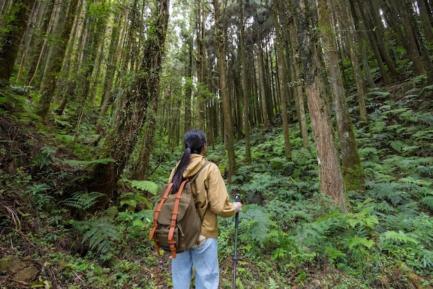 Frau geht über den Wald wandern