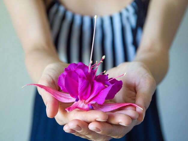 Frau gibt eine Hand mit großer lila Blume