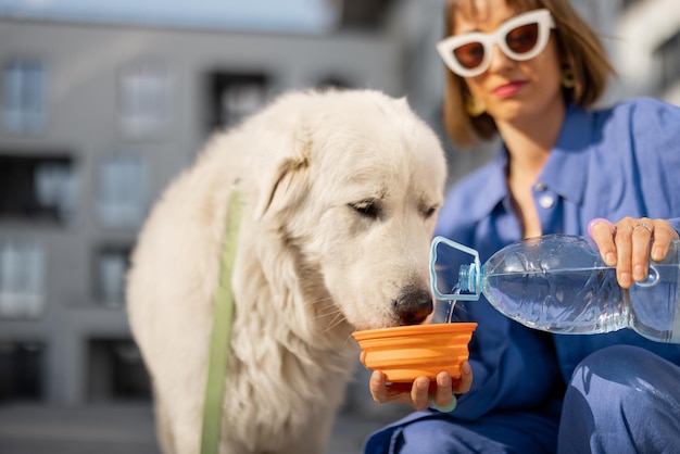 Frau gibt ihrem Hund Wasser