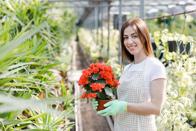 Frau hält einen Blumentopf in ihren Händen, der Pflanzen zum Verkauf anpflanzt, als Geschenk Blumen in einer Topfpflanze im Gewächshaus